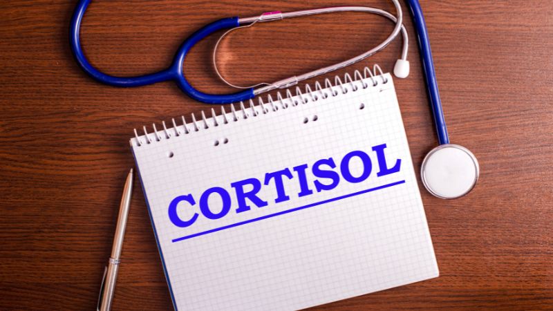 Struggling with Stress? Here’s How to Reduce Cortisol Levels Effectively!