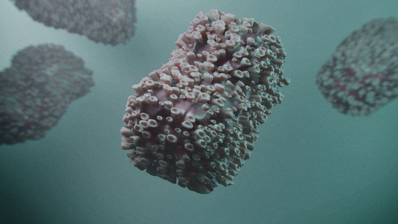 Monkeypox virus