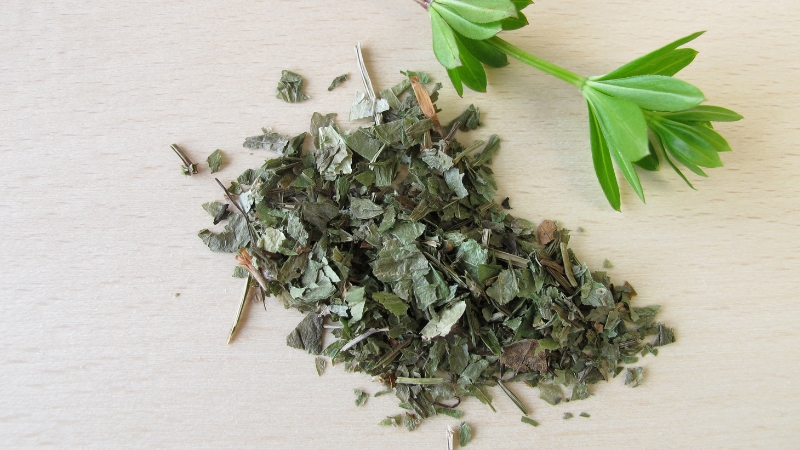 herba mystica