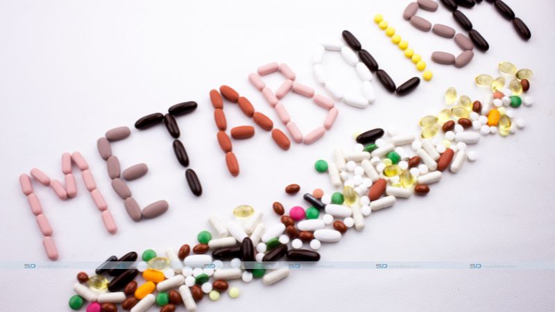 Boost Your Health