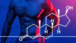 Testosterone in Body