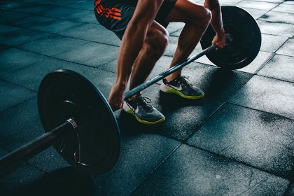 Workout Routine