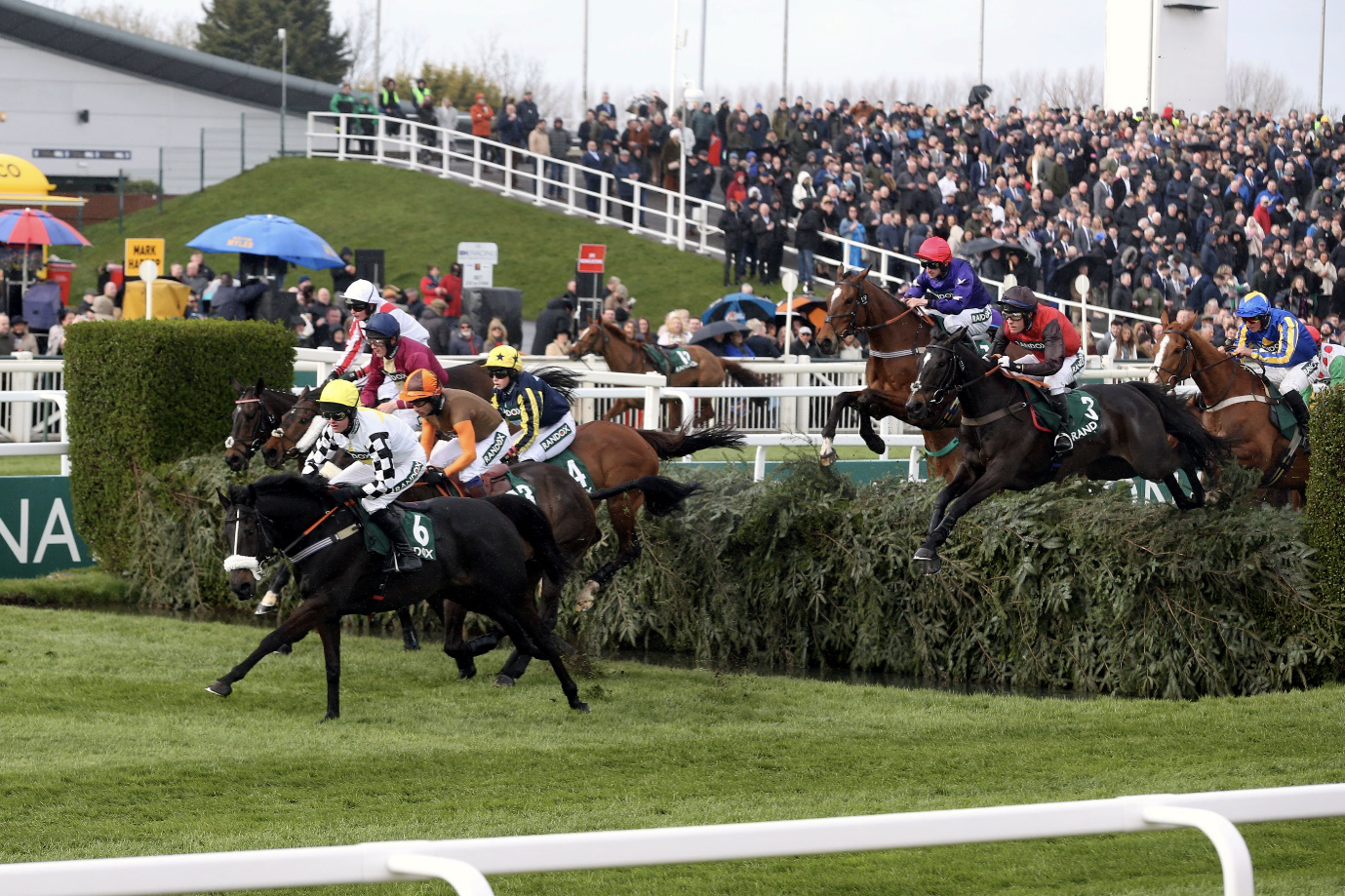 Delta Work: Remembering a Grand National stalwart