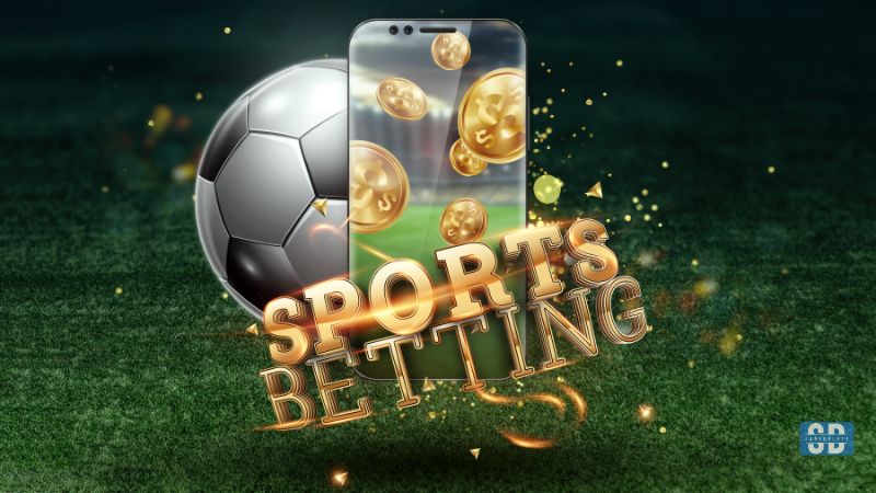 How similar are sports betting and investing in the market