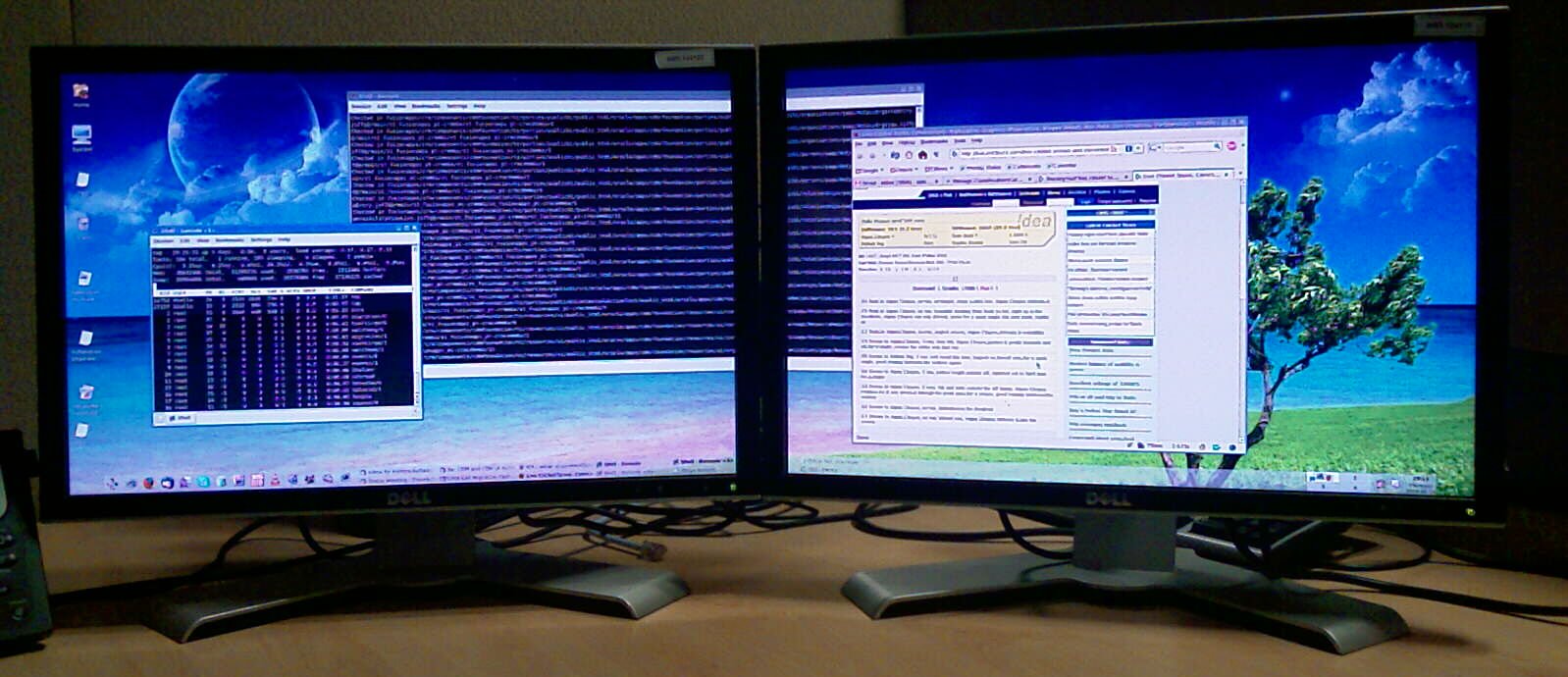 dual monitor