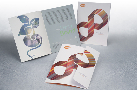 brochure-design-14