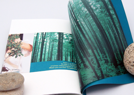 brochure-design-5