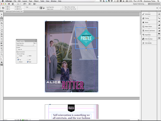 InDesign