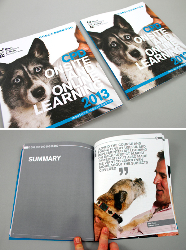 RVC CPD Brochure 2013
